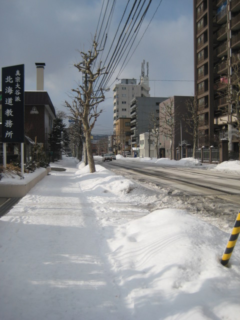 2010正月 in 札幌_12.JPG